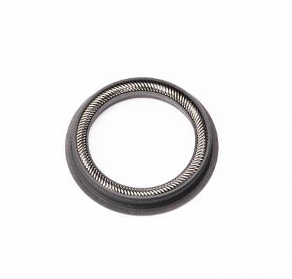 Piston Seal 20mm GFP55HT