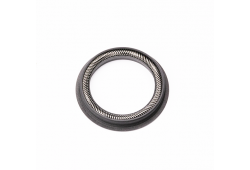 Piston Seal 20 mm GFP55HT