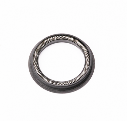 Piston Seal 20 mm GFP55HT
